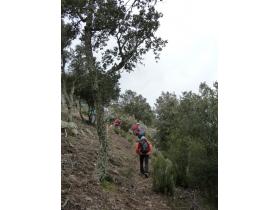 photo coins arrondis